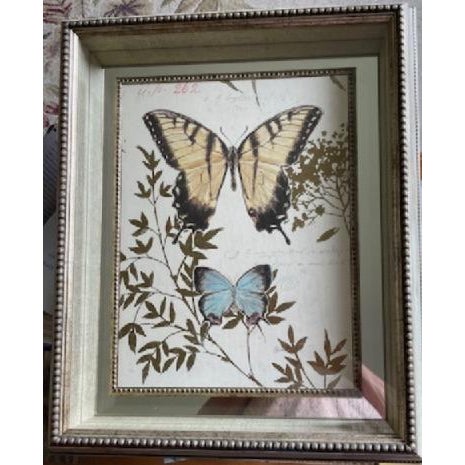 Lovely gold leaf embellished sturdy frame, mirrored back shadow box, with larger butterfly illustration in yellow and one...