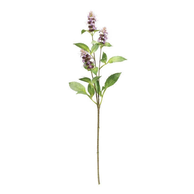 Enhance your home with the timeless beauty of nature, thanks to our Buddleia Floral Stem Set. Crafted from high-quality...