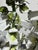 Rustic European Late 20th Century Metal Foxglove Sculpture For Sale - Image 3 of 10