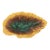 Exceptional Early 19th Century English Majolica Begonia Leaf Plate, Signed For Sale