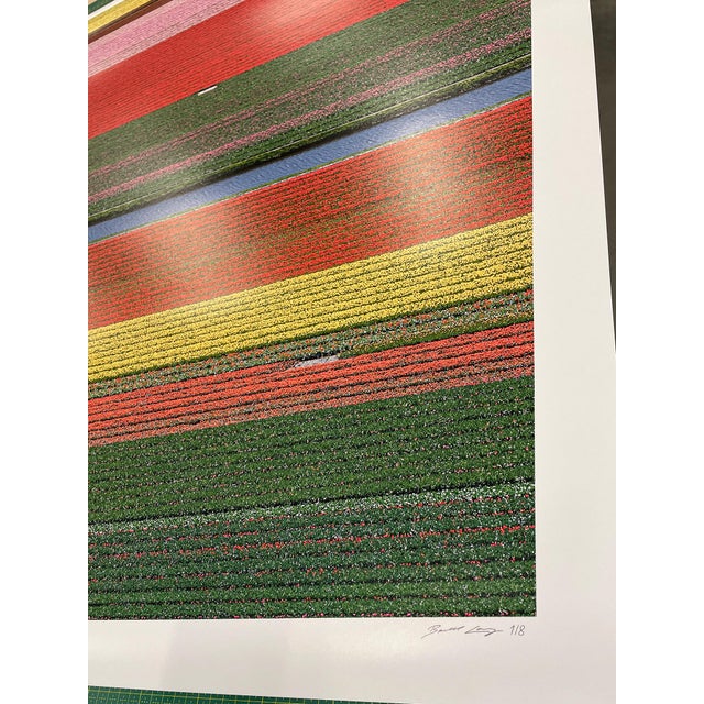 "AV_Tulip_Fields_036" Contemporary Aerial View Limited Edition Photograph by Bernhard Lang For Sale - Image 9 of 13