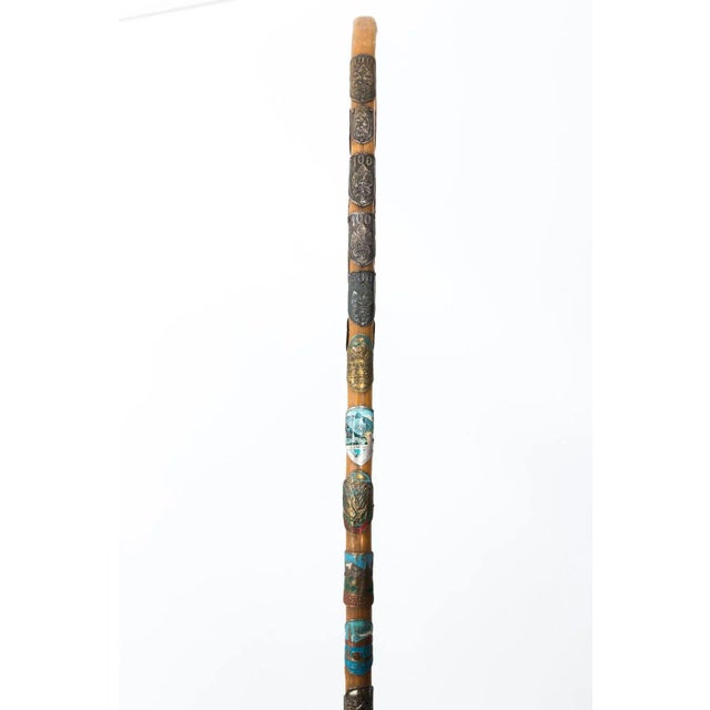 Collection of vintage German walking sticks or canes, each adorned with multiple badges that reflect locations visited,...