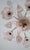 Liz Taylor, Iridiscent Pink Murano Glass Chandelier, 1980s For Sale - Image 11 of 18