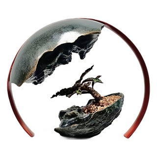 Qiankun — Neo-Chuanpai Bonsai Series For Sale