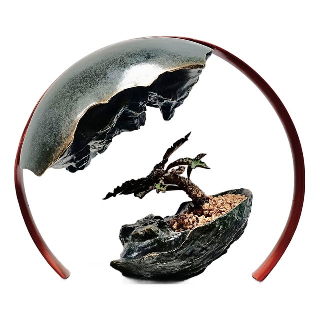 Qiankun — Neo-Chuanpai Bonsai Series For Sale