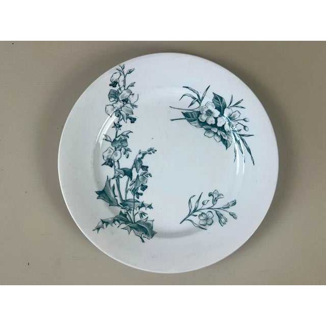 Ceramic Antique Italian Botanical Plates | s.c.r. Linneo Green Transferware Set (20cm) For Sale - Image 7 of 18
