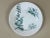Ceramic Antique Italian Botanical Plates | s.c.r. Linneo Green Transferware Set (20cm) For Sale - Image 7 of 18