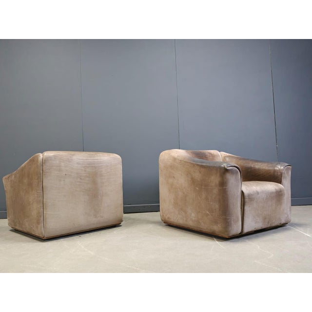 Vintage DS47 Chairs from de Sede, 1970s, Set of 2 For Sale - Image 10 of 12