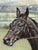 1984 Cheltenham Gold Cup Original Equestrian Oil Painting Signed by Jockeys John Francome and Phil Tuck. For Sale - Image 15 of 18