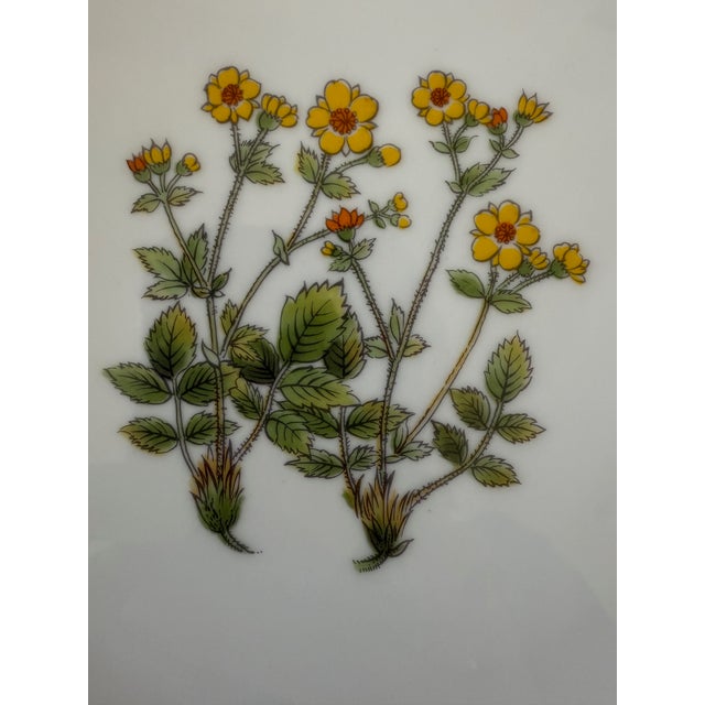 Set of 12 Vintage Takahashi Japan Lunch Plates With Botanical Designs For Sale - Image 11 of 17