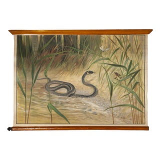 Canvas Print of Serpent After Antonio Vallardi For Sale