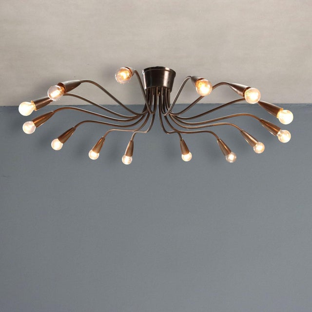 14-Light Chandelier, 1950s For Sale - Image 9 of 9