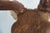 Elk 13 Point Mount Head and Bust For Sale - Image 13 of 18