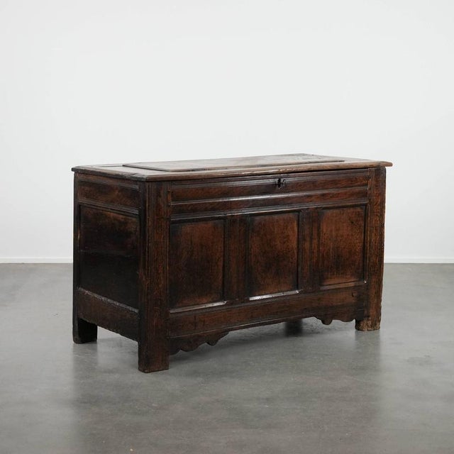Large Antique English Panelled Oak Chest, 18th Century For Sale - Image 16 of 16