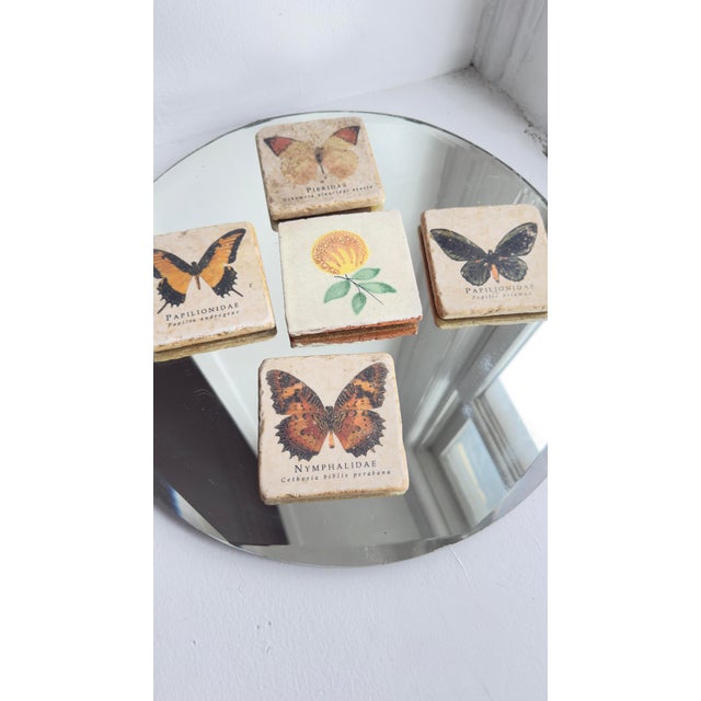 Vintage Late 20th Century Italian Marble Coasters With Butterfly and Botanical Illustrations - Set of 5 For Sale - Image 9 of 9
