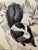 Illustration 1940s Original Signed Graphite Illustration of Hound Dog and Skunk Winter Scene, 12 × 9.5 In. For Sale - Image 3 of 6