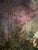 1940s Meyer Moringen Helene, Wesertal Gieselwerder Reinhardswald View, 1890s, Oil on Canvas For Sale - Image 5 of 13
