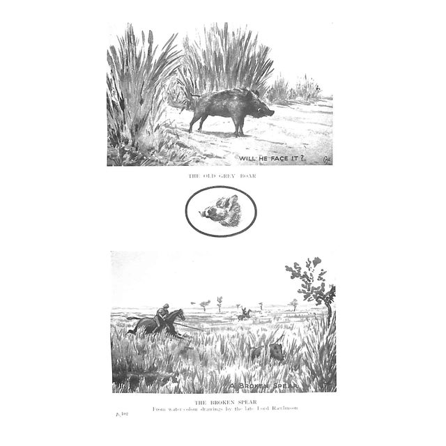 "Fifty Years of Sport" 1925 Miller, Lieut.-Col. e.d. For Sale - Image 10 of 14