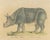 Brodtmann, Indian Rhinoceros (Rhinoceros Unicornis), 1816, Lithograph For Sale - Image 3 of 9