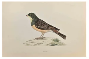 Alexander Francis Lydon, Ortolan, Woodcut Print, 1870