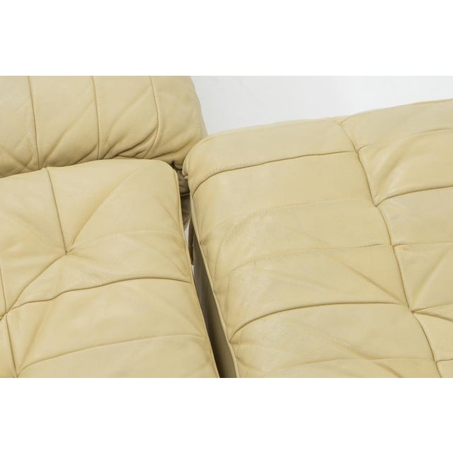 Vintage DS-11 Modular Sofa from de Sede, 1970s, Set of 5 For Sale - Image 12 of 16