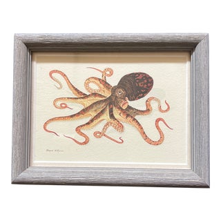 Framed Octopus Print For Sale