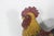 1950s Vintage Large 12” Cast Iron Rooster Door Stop Jamb, Stopper, Patina, French Country Style Farmhouse For Sale - Image 5 of 10