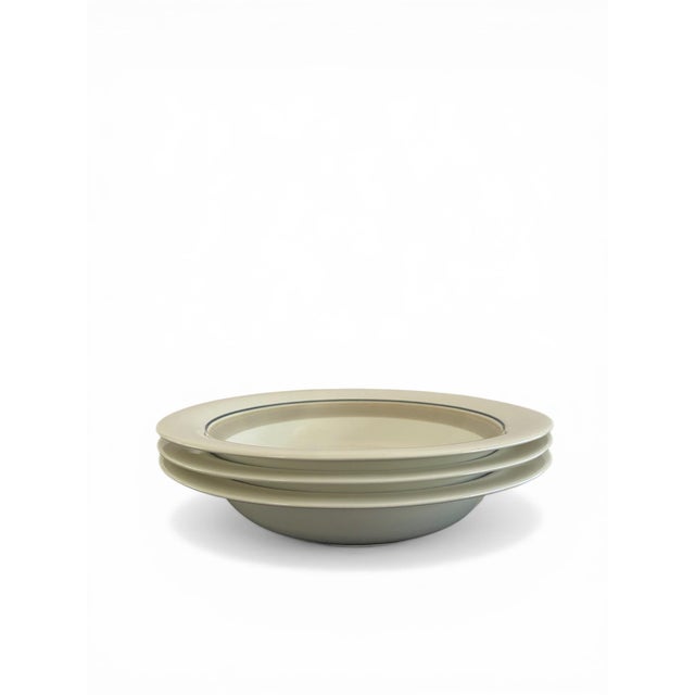 Ceramic Late 20th Century Finland of Arabia Seita Arctica Dinner Set - 21 Piece For Sale - Image 7 of 12