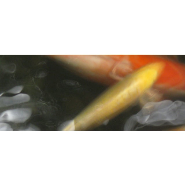 "Koi 2" 18"x24" Contemporary Color Photograph Black Frame by Dorothy Solomon For Sale - Image 4 of 4
