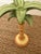 Vintage Pr Italian Hand Painted Palm Tree Candleholders For Sale - Image 10 of 11