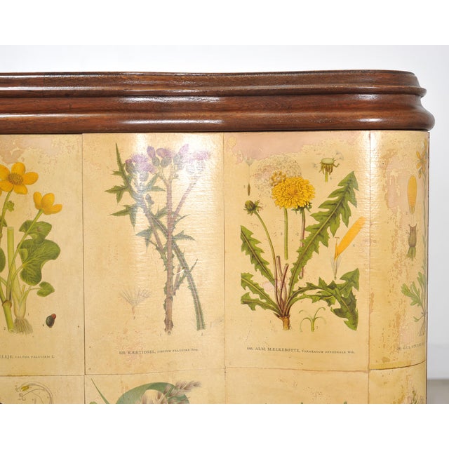 1940s Swedish Modern Nordens Flora Botanical Sideboard Cabinet For Sale - Image 17 of 18