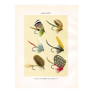 Vintage Bass Fishing Flies Print by Charles Orvis, Original Vintage Fishing Print, Lithograph For Sale
