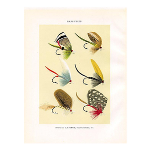 Vintage Bass Fishing Flies Print by Charles Orvis, Original Vintage Fishing Print, Lithograph