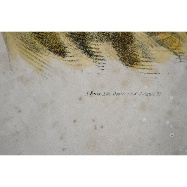 Dopter Paris, Elvire, 19th Century, Lithograph, Framed For Sale - Image 11 of 14