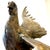 Metal Monumental Bronze Sculpture - Pheasants - "Farmboys" by Stefan Savides For Sale - Image 7 of 13