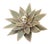 Vintage Floral Brass Wall Sconce by Maison Jansen, 1960s For Sale