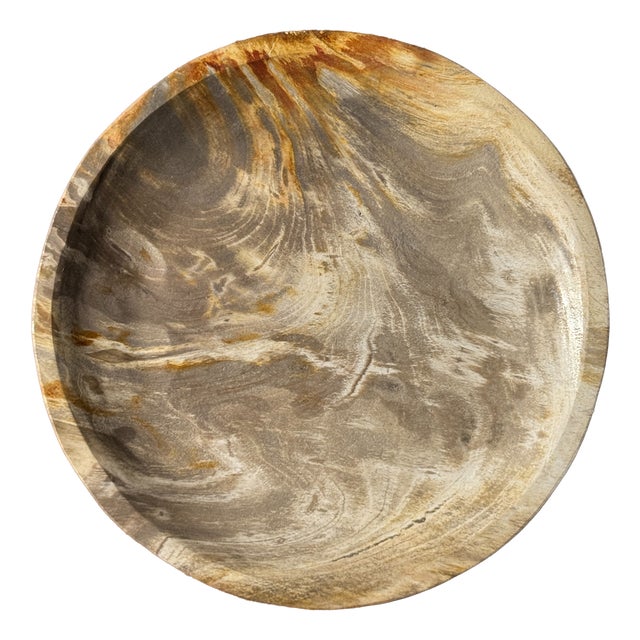 Light Beige Petrified Wood Circular Tray, 1980s For Sale