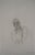 Alberto Giacometti, Portrait de Jean Gênet, Lithograph For Sale - Image 5 of 5