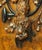 Pair of Antique French Carved Burl Walnut and Oak Hunt Panels, Circa 1870 For Sale - Image 15 of 18