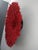 Juju Hat Red of 39" - 100 Cm For Sale - Image 4 of 5