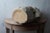 Bust of Laocoön, After the Antique, 20th Century For Sale - Image 12 of 12