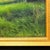 Impressionist Elyse Gerard, Evening Field, Oil on Canvas, Early 21st Century, Framed For Sale - Image 3 of 4