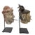 A pair of polechrome puppet heads from Burma on custom mounts. Polychrome puppet heads on custom mounts. Male and female...