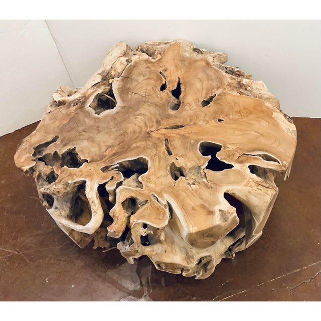 Organic Modern Teak Root Ball Cocktail Table For Sale - Image 4 of 4