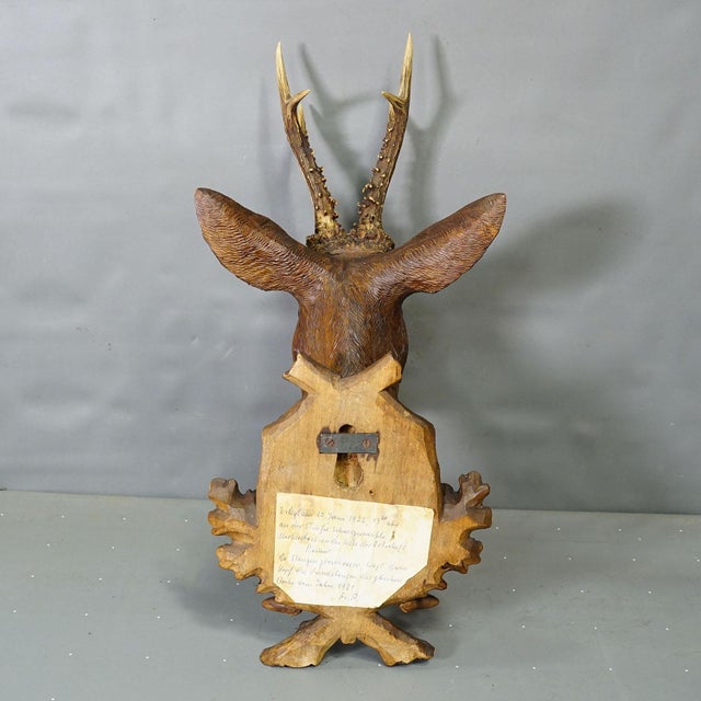 Wood Large Naturalistic Black Forest Carved Deer Trophy, Ca. 1920s For Sale - Image 7 of 8
