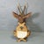Wood Large Naturalistic Black Forest Carved Deer Trophy, Ca. 1920s For Sale - Image 7 of 8