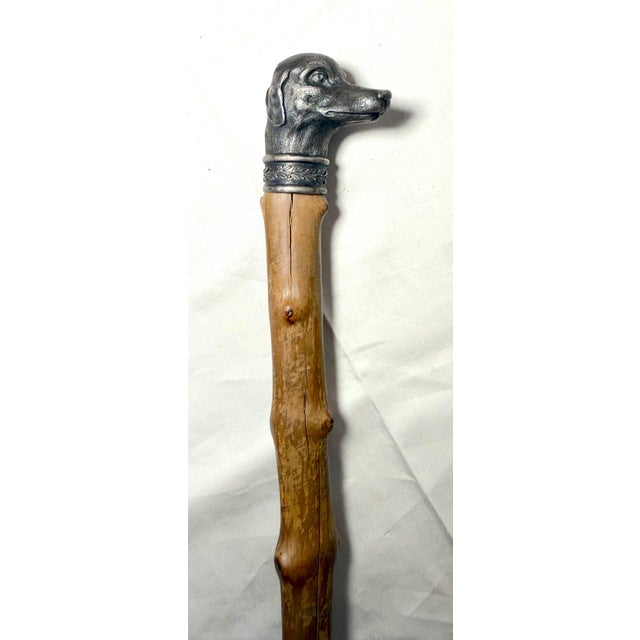 Antique 19th Century Handmade 800 Sterling Silver Wood Dog Walking Stick Cane For Sale In New York - Image 6 of 18