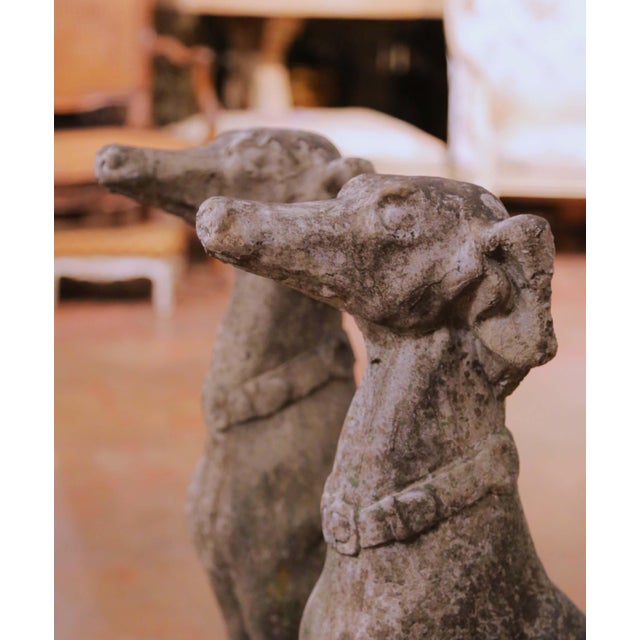 French Pair of Vintage French Outdoor Weathered Carved Stone Greyhound Dog Sculptures For Sale - Image 3 of 8