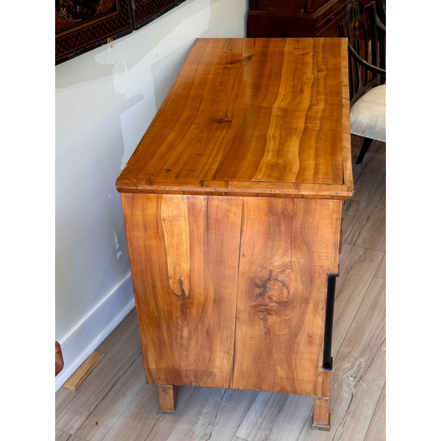 Early 19th Century Biedermeier Commode For Sale - Image 9 of 11