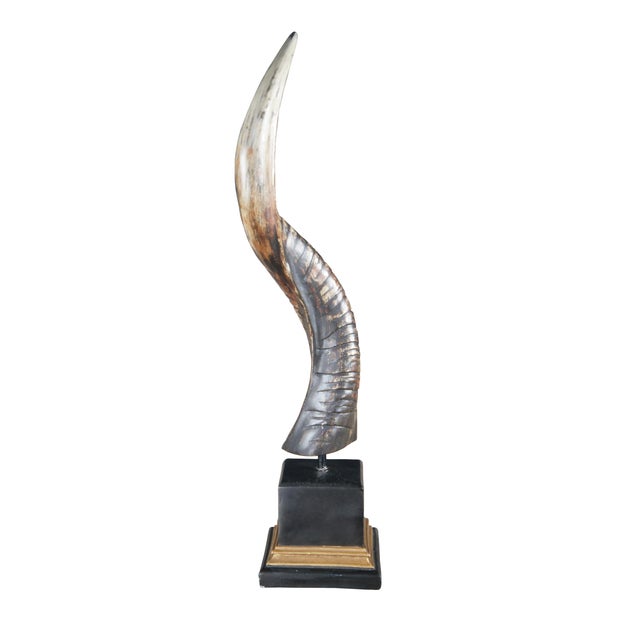 Faux Kudu horn over plinth base. Features realistic patina and modern styling. Dimensions: 6.5" x 6.5" x 29.75"h